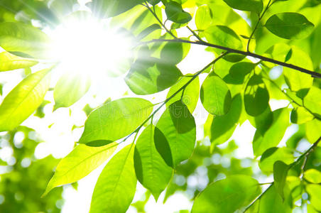 阳光透过窗图片