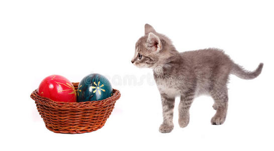 复活节篮子和猫