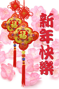 中国新年问候和装饰品