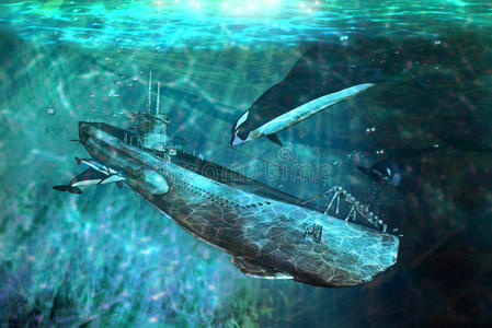 虎鲸和潜艇照片