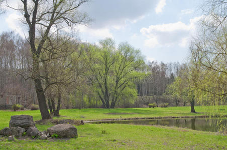 春季景观