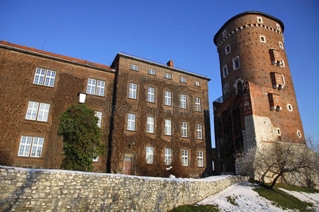 克拉科夫的瓦威尔城堡