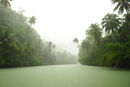 河上的热带雨