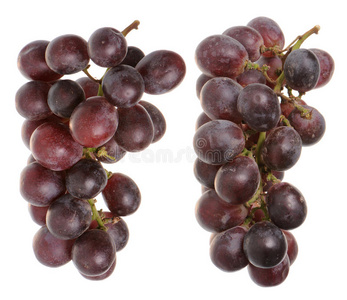一串红葡萄