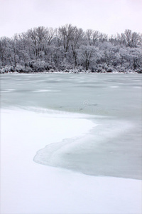 皮尔斯湖降雪伊利诺伊州