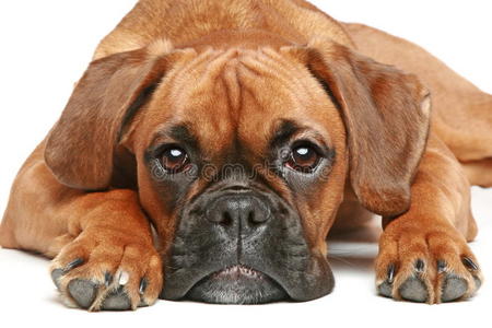 5月背景图片 5月背景素材 5月背景插画 摄图新视界 5月背景图片 5月背景素材 5月背景插画 摄图新视界