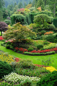 绿化弗洛尔图片-绿化弗洛尔素材-绿化弗洛尔插画-摄图新视界