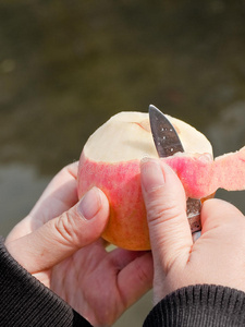 持有成熟的苹果削苹果皮照片