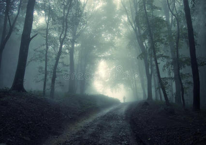 在有雾的绿色森林中行走的人