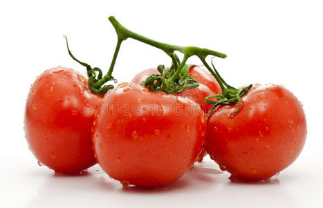 西红柿。