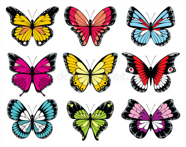 9个彩色蝴蝶图标