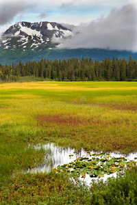 阿拉斯加美丽的沼泽和山脉
