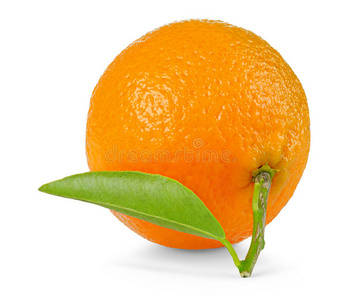 孤立的橘子图片