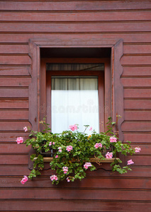 棕色窗户上的粉红色花