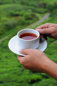 手拿一杯茶照片