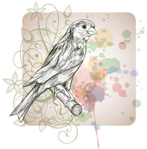 金丝雀鸟花图片-金丝雀鸟花素材-金丝雀鸟花插画-摄图新视界