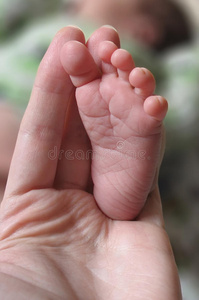 婴儿的脚在母亲的手中