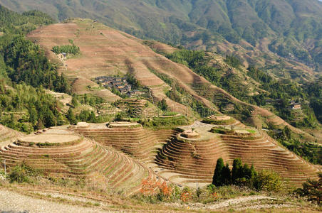 中国水稻梯田