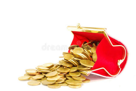 投币袋和成堆的金币