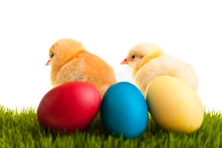 青草上的复活节蛋和鸡
