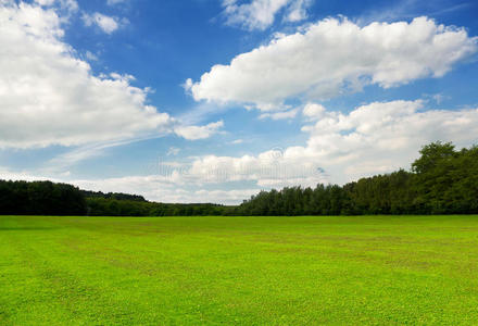 夏季景观