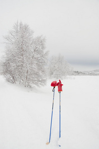 滑雪杆和红手套