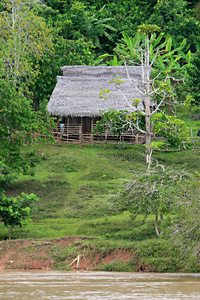 丛林小屋