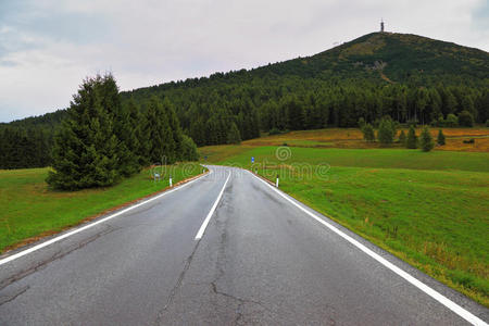 阿尔卑斯山的路