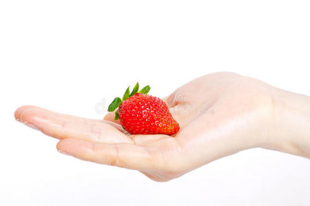 草莓在手