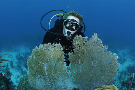 珊瑚礁上的潜水者