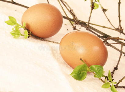 两个褐色的复活节彩蛋