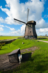 荷兰美丽的风车景观图片