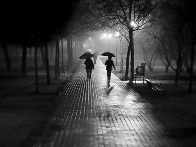 雨中漫步行走犰狳母亲漫步幸福的情侣在公园草坪上行走狗男女情侣浪漫