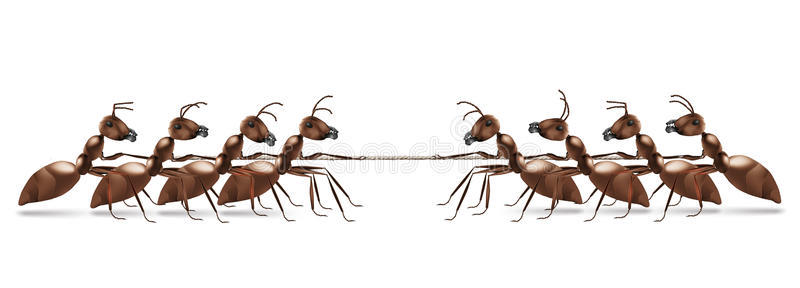 蚂蚁拉绳业或运动竞赛
