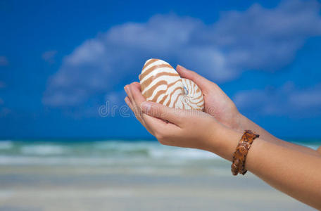 女孩们手拿鹦鹉螺壳顶着大海