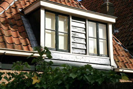 屋顶有窗户的凸窗