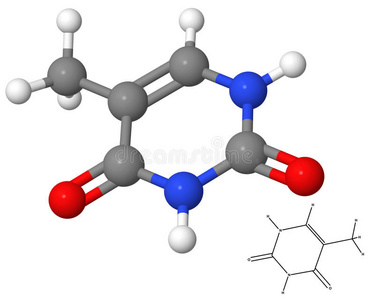 胸腺嘧啶分子的化学式照片