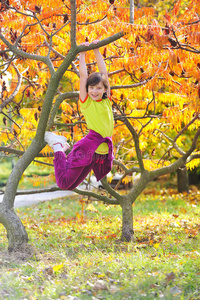 小女孩爬上了树