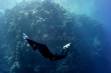 自由潜水员沿珊瑚礁潜入水下