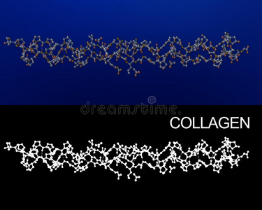 胶原蛋白图片