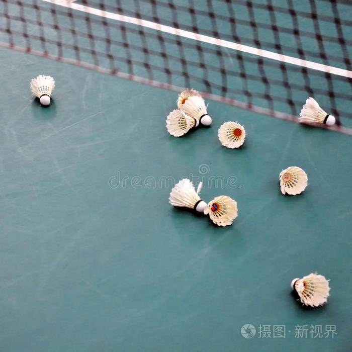 羽毛球