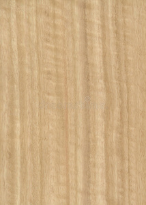 桉树单板纹理照片