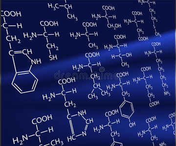 必需氨基酸图片