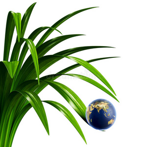 地球仪上草背景图片