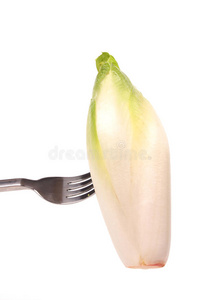 叉子上的菊苣