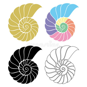 斐波那契螺旋线图片