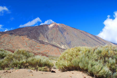 泰德山