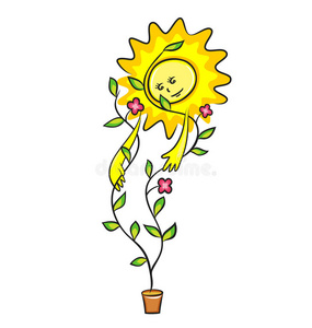 植物和太阳