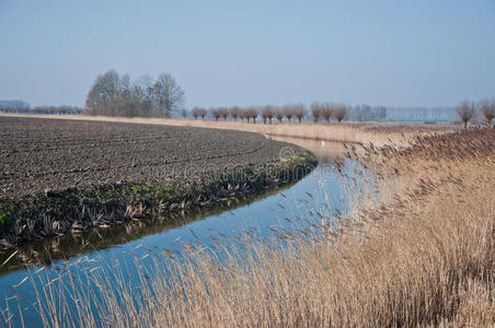 瀑布 乡村 农业 米德 农田 美丽的 领域 级联 荷兰 流量