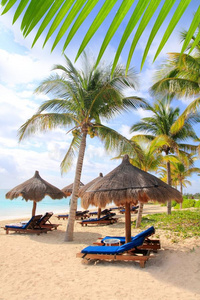 玛雅里维埃拉海滩棕榈树天窗加勒比海